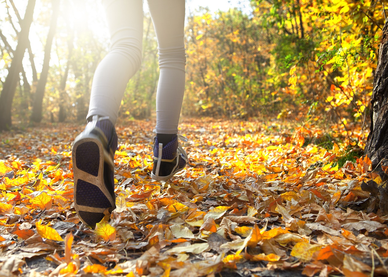 Joggen im Herbst. Joggen im Herbst.
